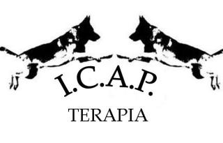 Icap teràpia